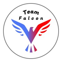 Team Falcon - WFG Team Canada logo - Similar company to Wfg Canada