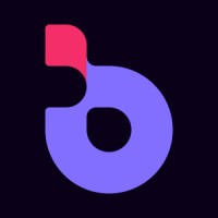 Brainny Smart Solutions logo - Similar company to Fhi Software