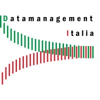 Datamanagement Italia SpA logo - Similar company to Data Management Srl – Zucchetti Group