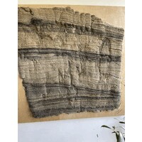 Oleum Scientia Group Llc