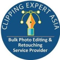 Clipping Expert Asia logo - Similar company to No Boundaries