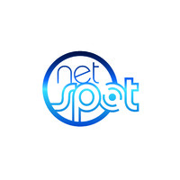 NetspotSolutions logo - Similar company to Double Tech