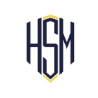 HSM-Security logo - Similar company to Selvi Consulting
