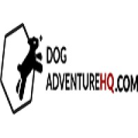 Dog Adventure HQ logo - Similar company to Vr Arena