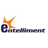 Entelliment LLC logo - Similar company to Miami-Dade County Supervisor Of Elections Office