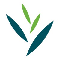 Dubai Herbal & Treatment Centre logo - Similar company to Blooming Key