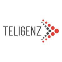 Teligenz Tech Solutions Pvt. Ltd. logo - Similar company to Vertisize It Solutions