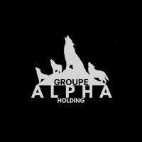 Groupe Alpha Holding logo - Similar company to Construction Maison Bois