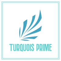 Turquois Prime logo - Similar company to Ordersmile
