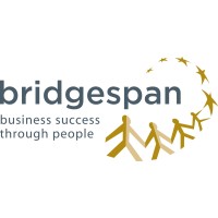 Bridgespan Ltd Ireland logo - Similar company to Hudson Talent Management