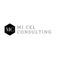 MICEL-Consulting logo - Similar company to Empty
