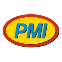 PM Instrumentation logo - Similar company to Pm Egypt