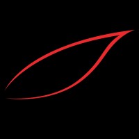 Andrea Scarpellini Design Studio