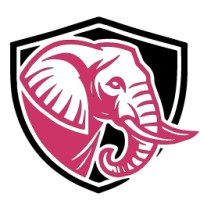 Wise Choice Planning, LLC logo - Similar company to Icfo Advisory