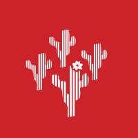 REDE MANDACARU BR logo - Similar company to Rede Mais Você