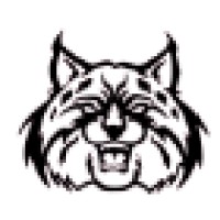 The Wildcat School