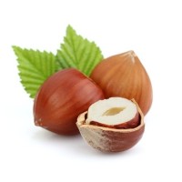 Hazelnut.az logo - Similar company to Happy Hazelnut