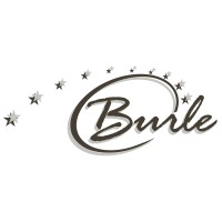 AUTOCARS BURLE logo - Similar company to Autocars Sumian