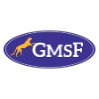 GmsF Software Engineering and Supply Chain Innovation logo - Similar company to Blitz P&C