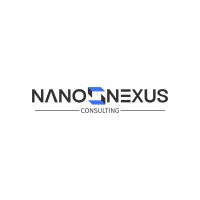Nano Nexus Consulting logo - Similar company to The Chronosync Method