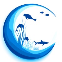 O Meu Oceano logo - Similar company to Mar Mocambique (Marmo)
