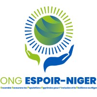 ONG ESPOIR NIGER logo - Similar company to Thesislab