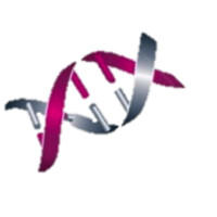 iDNA LTD logo - Similar company to Redhive