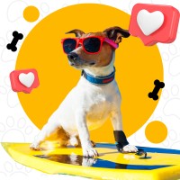 Hotel Canino Patitas logo - Similar company to Dog Adventure