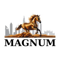Magnum Equities logo - Similar company to Quorum Technologies, Inc.