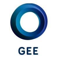 GLOBAL ENERGY ENGINEERING LLC logo - Similar company to Vuemed, Inc.