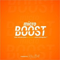Micro Boost RDC logo - Similar company to Nos Makembas