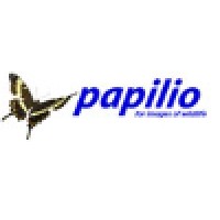 Papilio logo - Similar company to Papilio Consulting Group