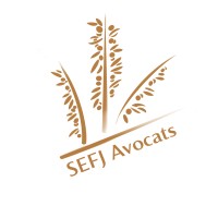 SEFJ AVOCATS logo - Similar company to Satya Avocat