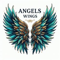 Angels-Wings Charity Org logo - Similar company to Visionairsasia
