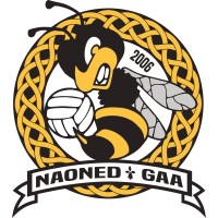 Nantes GAA logo - Similar company to Lugdunum Clg
