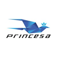 ViaçãoPrincesa logo - Similar company to Diretriz Jeans