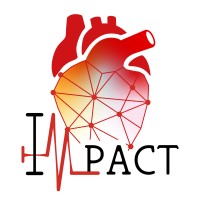 IMPACT EU project logo - Similar company to Miracle Project