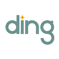 Ding Brand Design Agency | Creative Solutions logo - Similar company to Nova Reach Venture Llc