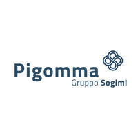 Pigomma SpA - Gruppo Sogimi logo - Similar company to Vefer Contract