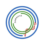 Samkhya IP logo - Similar company to Avidinvent