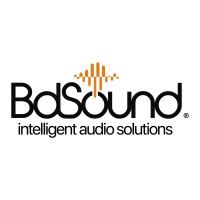 BdSound logo - Similar company to Dsp Concepts