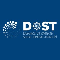 DOST Agentliyi logo - Similar company to Codexpert Lab