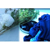 Bio Indigo® logo - Similar company to Sudha💃💃💃💃💃..........👢👒👠👚🛍️🇩🇿🏯🛍️