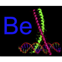 Bell Biopharma Consulting, Llc