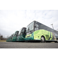 Wolf'S Bus Lines