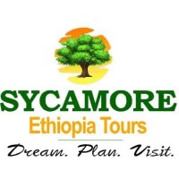 Sycamore Ethiopia Tours and Travel - Car Rental Service logo - Similar company to Mezcorp Logistics