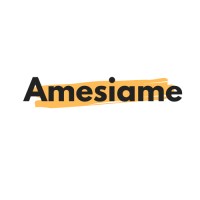 AMESIAME logo - Similar company to Laitify