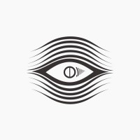 IRIS logo - Similar company to Magistri