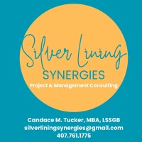 Silver Lining Synergies LLC logo - Similar company to Walker & Doepfner, Pllc
