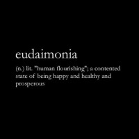 eudaimonia logo - Similar company to Eudaimon Labs